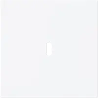 Busch-Jaeger centraalplaat USB-C Art Linear studiowit mat (6479-44M)