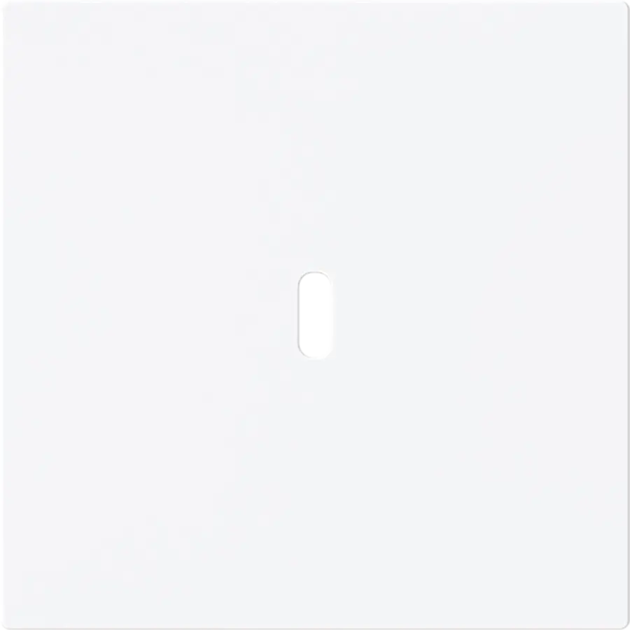 Busch-Jaeger centraalplaat USB-C Art Linear studiowit mat (6479-44M)