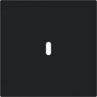 Busch-Jaeger centraalplaat USB-C Art Linear zwart mat (6479-45M)