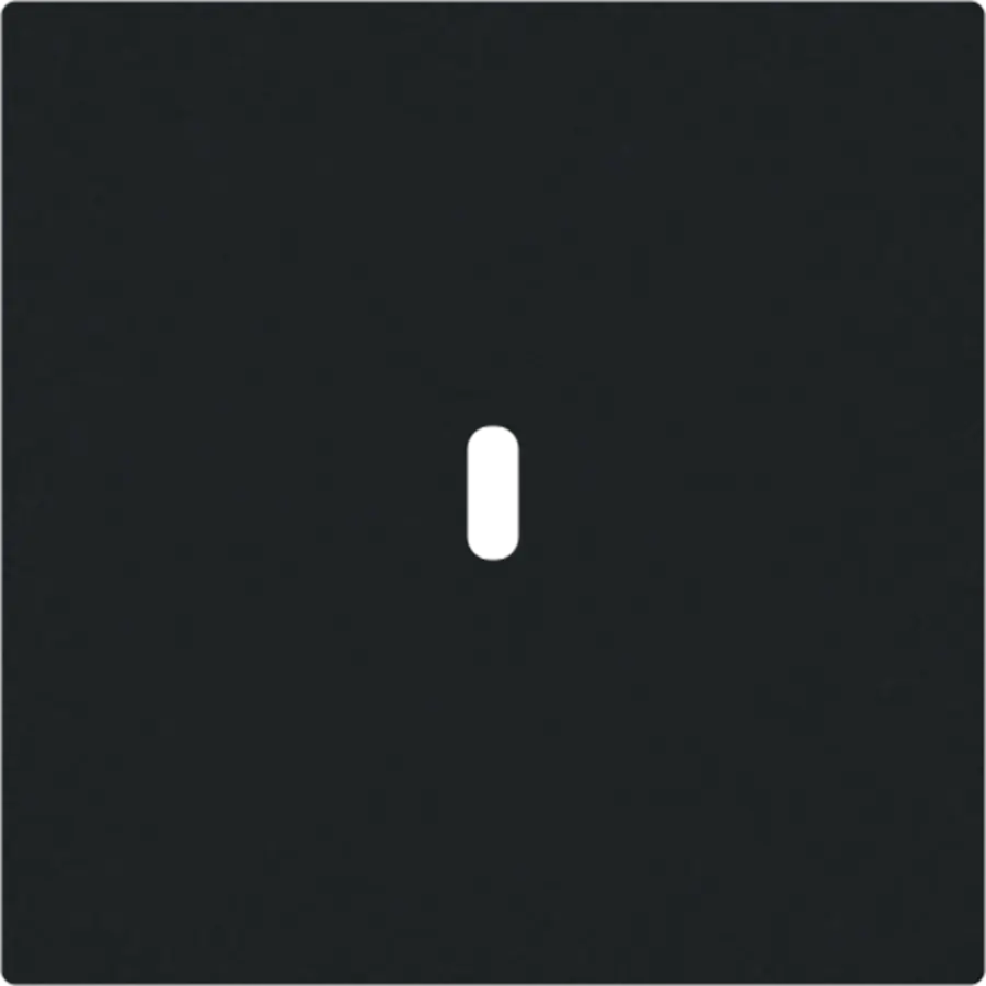 Busch-Jaeger centraalplaat USB-C Art Linear zwart mat (6479-45M)