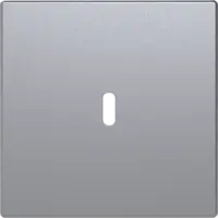 Busch-Jaeger centraalplaat USB-C aluzilver mat (6479-83)