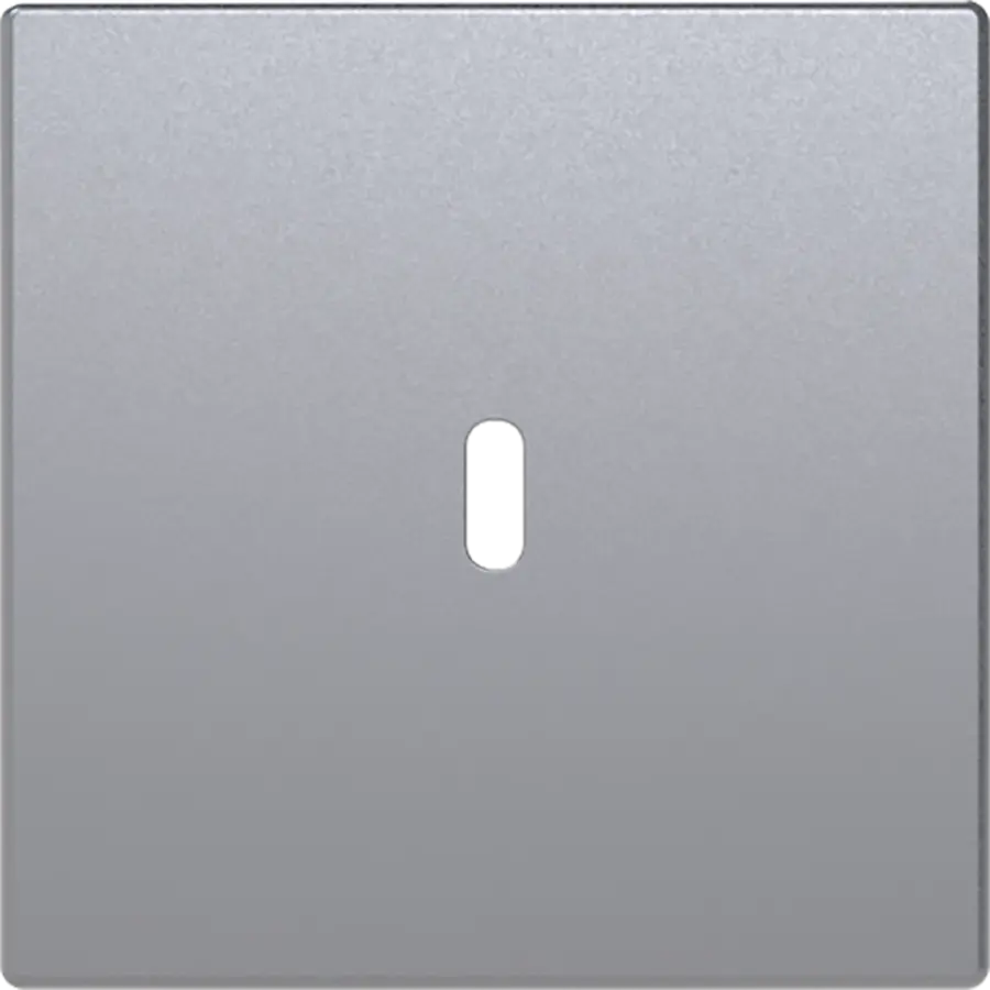 Busch-Jaeger centraalplaat USB-C aluzilver mat (6479-83)