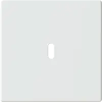 Busch-Jaeger centraalplaat USB-C studiowit mat (6479-884)