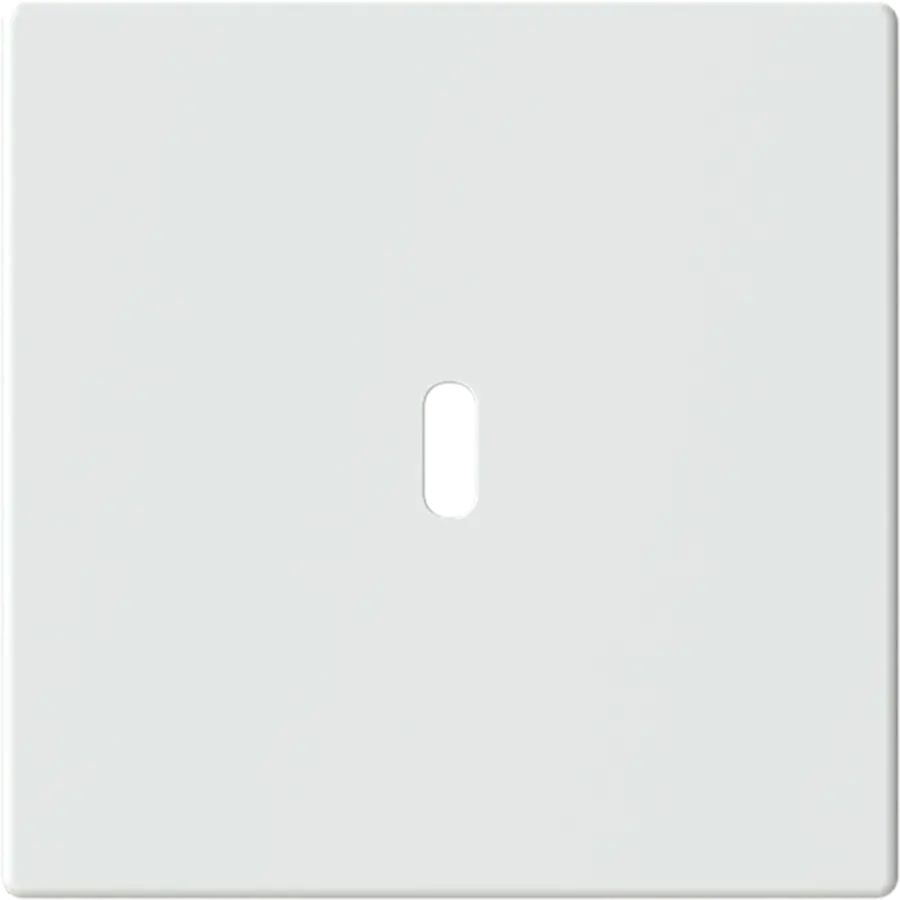 Busch-Jaeger centraalplaat USB-C Future Linear studiowit mat (6479-884)