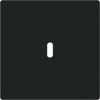 Busch-Jaeger centraalplaat USB-C zwart mat (6479-885)