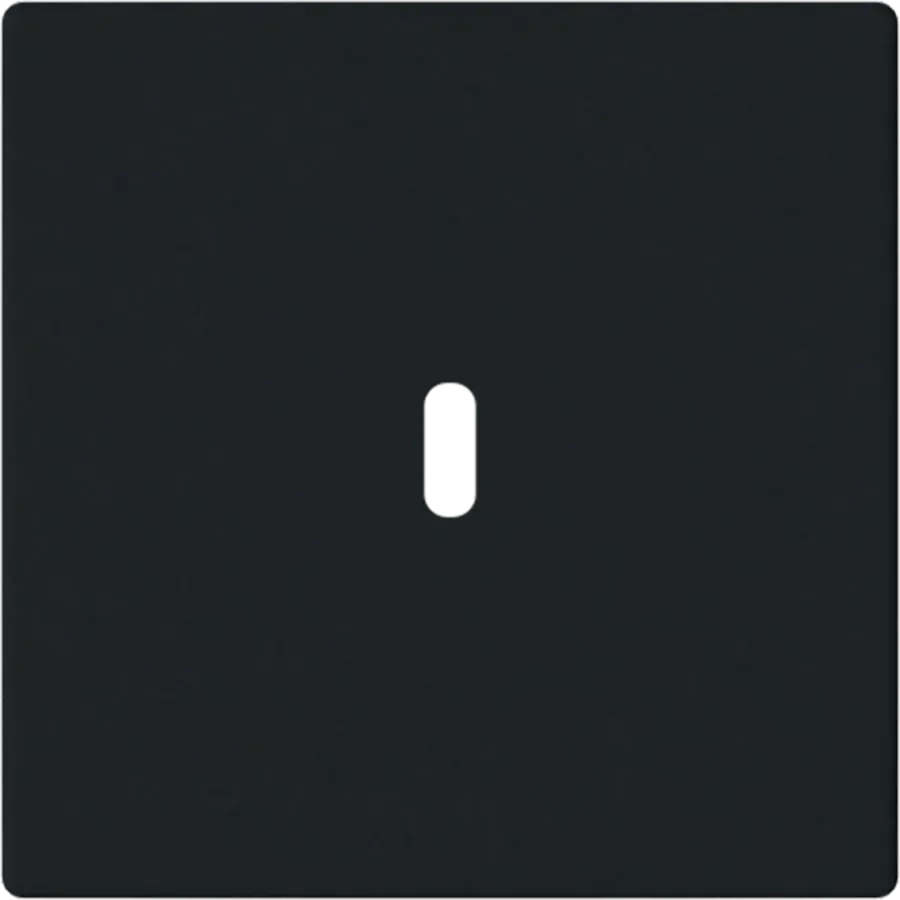 Busch-Jaeger centraalplaat USB-C zwart mat (6479-885)