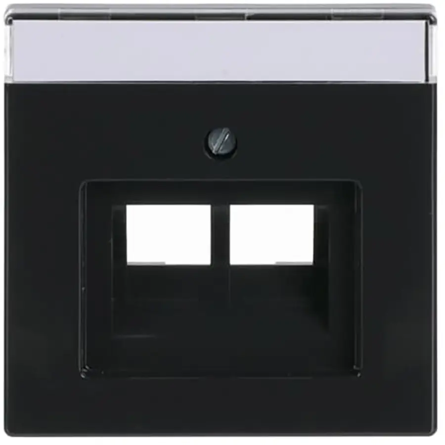 Busch-Jaeger centraalplaat RJ45 wandcontactdoos 2-voudig Future Linear antraciet glans (1803-02-81)