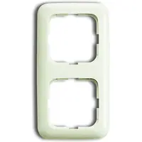 Busch-Jaeger afdekraam 2-voudig Standaard SI (2512-212-506)