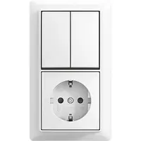 Busch-Jaeger combinatie ra kv serie + plaat (2601/5/20 EAPBJ-524-503)