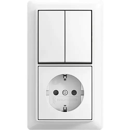 Busch-Jaeger combinatie ra kv serie + plaat (2601/5/20 EAPBJ-524-503)