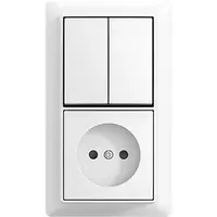 Busch-Jaeger combinatie kv serie + plaat op (2601/5/20 APBJ-524-503)