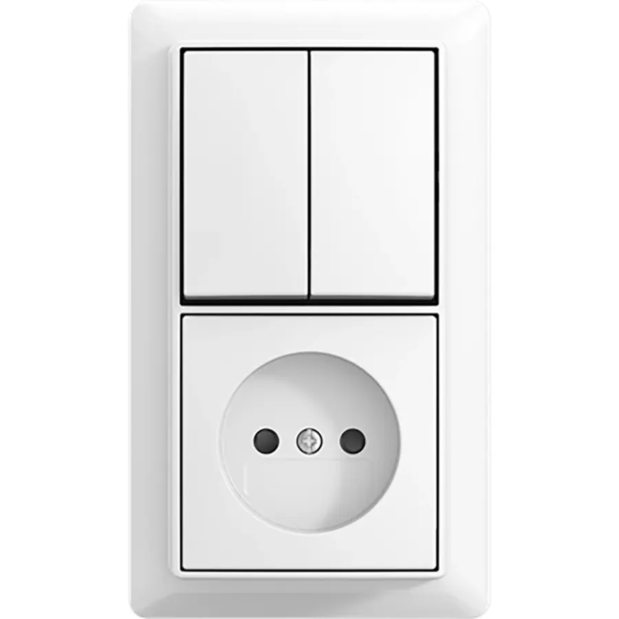 Busch-Jaeger combinatie kv serie + plaat op (2601/5/20 APBJ-524-503)