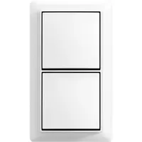 Busch-Jaeger schak wis/wis + plaat opb b-ap (2601/6/2601/6 APJ-524-503)