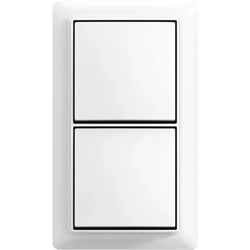 Busch-Jaeger schak wis/wis + plaat opb b-ap (2601/6/2601/6 APJ-524-503)