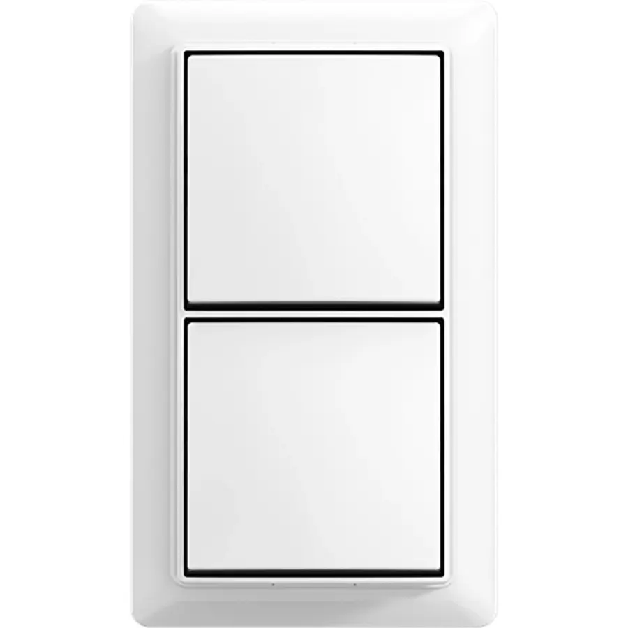 Busch-Jaeger schak wis/wis + plaat opb b-ap (2601/6/2601/6 APJ-524-503)