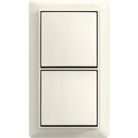 Busch-Jaeger schak wis/wis + plaat opb b-ap (2601/6/2601/6 APJ-522-503)