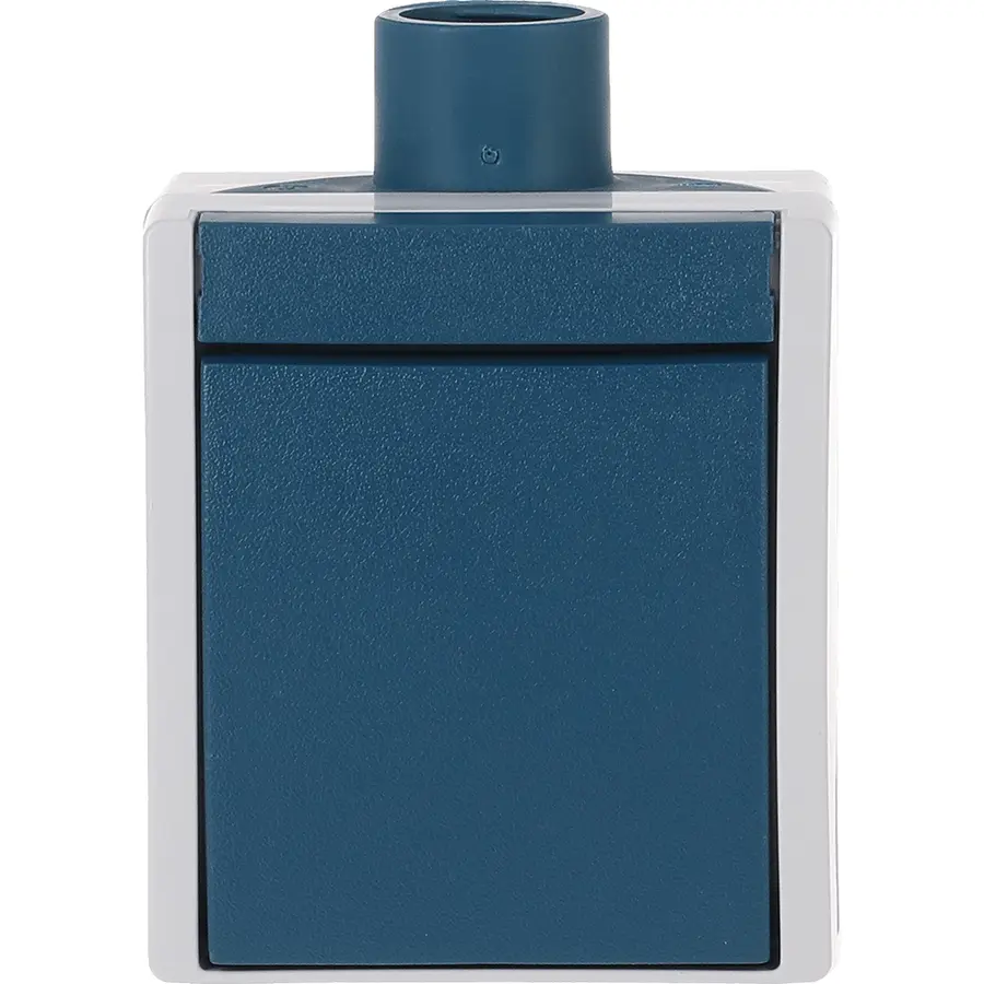 Busch-Jaeger 2-polige schakelaar opbouw Ocean IP44 grijs/blauw (2601/6 W/TT-53)