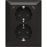 Busch-Jaeger wcd ra dubbel kv + usb-c/c inb (202EUJRB2USBC-915)