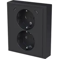Busch-Jaeger wcd ra dubbel kv + usb-c/c inb (202EUJRB2USBC-81)