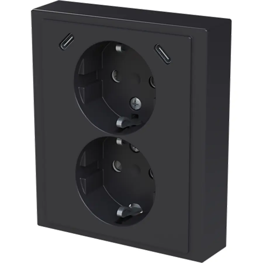 Busch-Jaeger wcd ra dubbel kv + usb-c/c inb (202EUJRB2USBC-81)