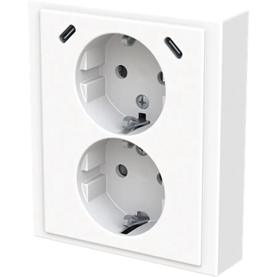 Busch-Jaeger wcd ra dubbel kv + usb-c/c inb (202EUJRB2USBC-84)