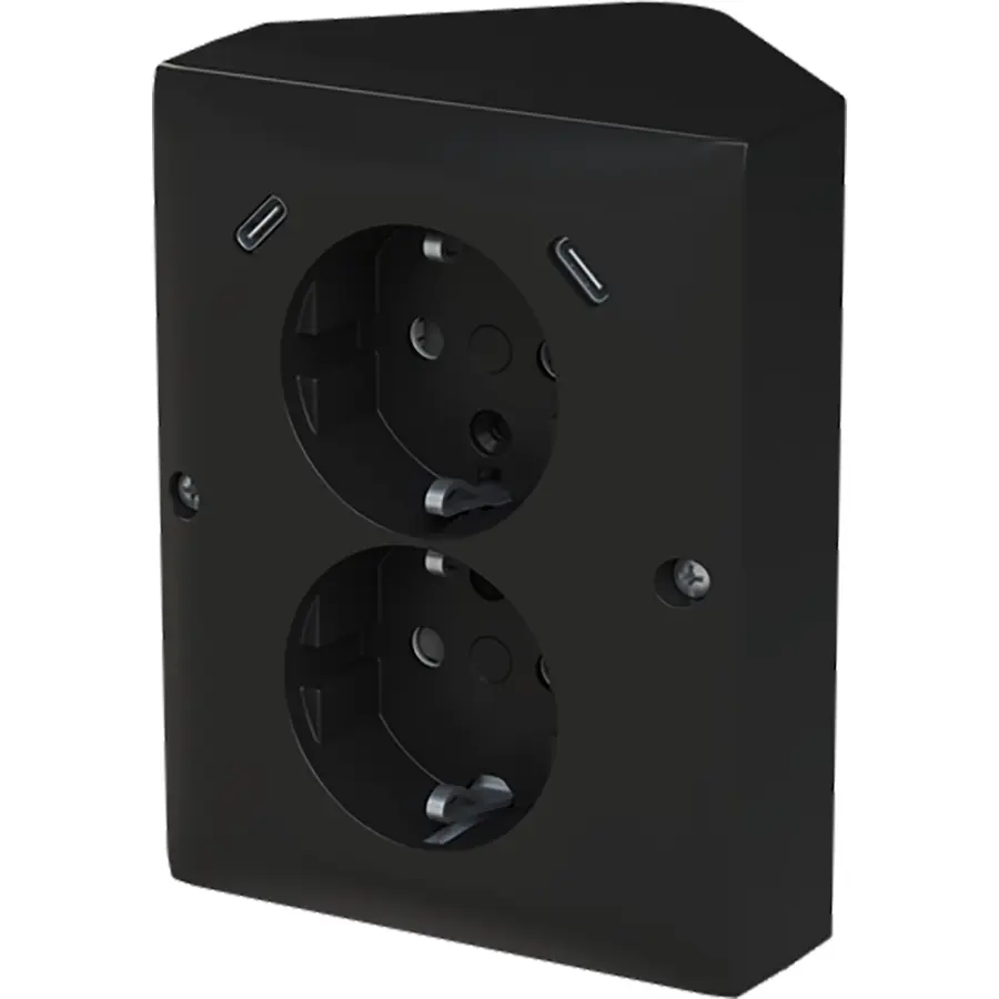 Busch-Jaeger wcd ra dubbel kv + usb-c/c hoe (202EAPJRB2USBC-915)