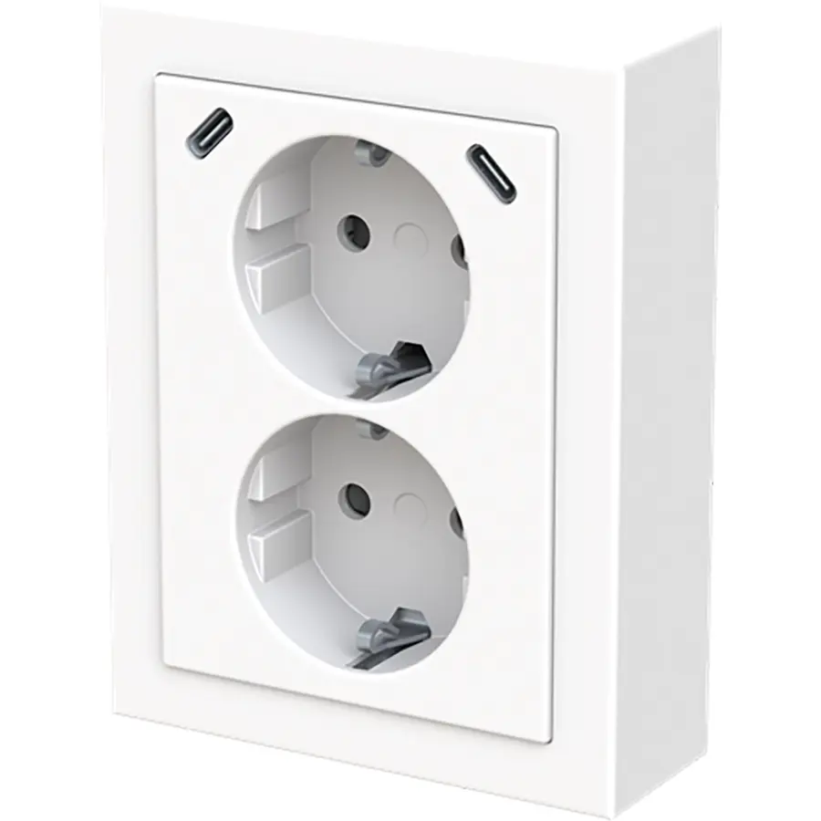 Busch-Jaeger wcd ra dubbel kv + usb-c/c hoe (202EAPJRB2USBC-84)
