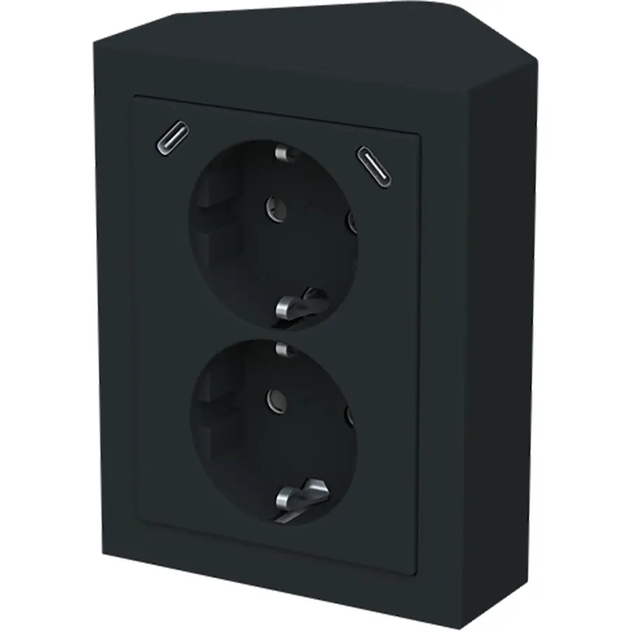 Busch-Jaeger wcd ra dubbel kv + usb-c/c hoe (202EAPJRB2USBC-885)