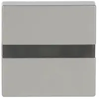 Busch-Jaeger comfortschakelaar flex-opzetstuk met bewegingssensor Pure Stainless Steel (64765-866)