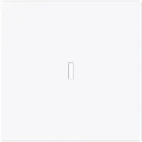 Busch-Jaeger schakelwip controlevenster Art Linear studiowit glans (1789 N-44G)