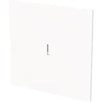 Busch-Jaeger schakelwip controlevenster Art Linear studiowit glans (1789 N-44G)