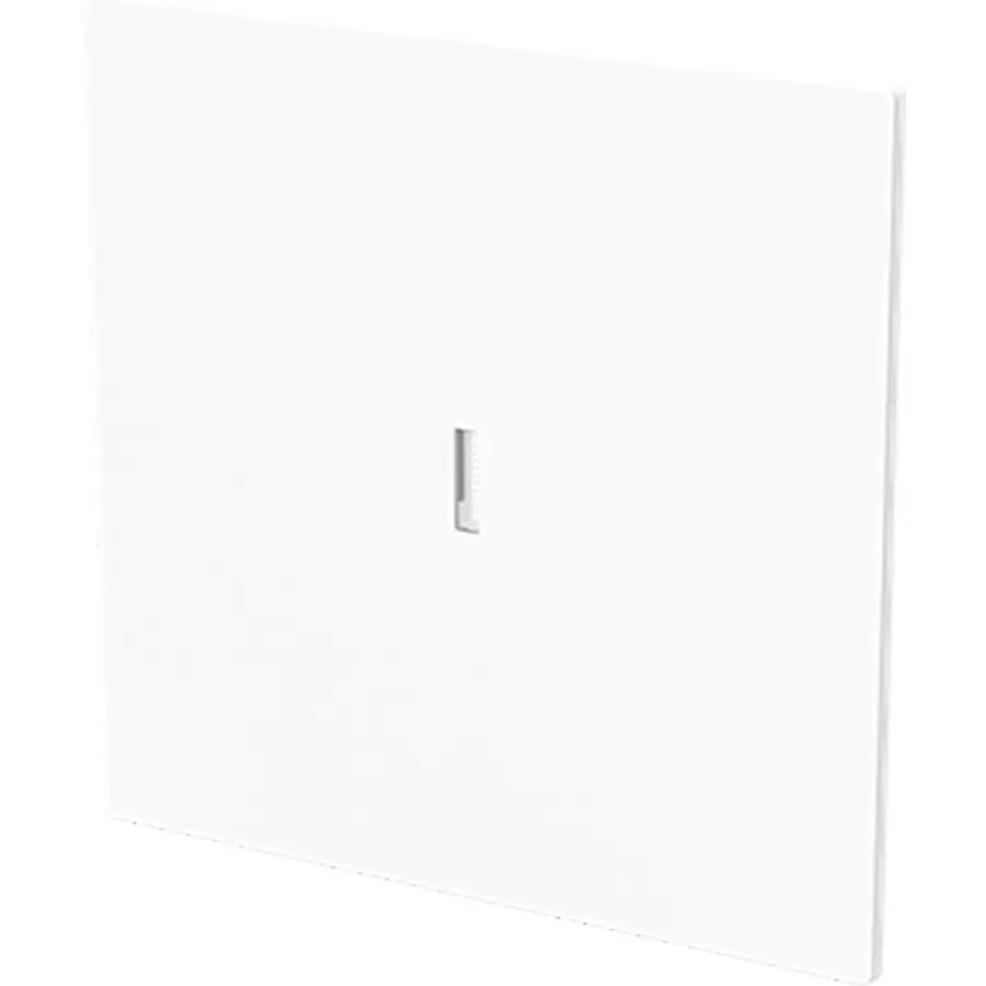 Busch-Jaeger schakelwip controlevenster Art Linear studiowit glans (1789 N-44G)