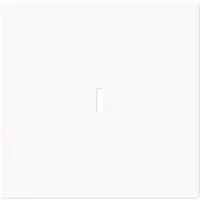 Busch-Jaeger schakelwip controlevenster Art Linear studiowit mat (1789 N-44M)