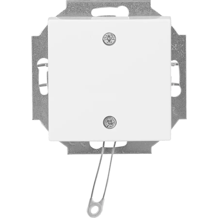 Busch-Jaeger trekschakelaar incl. centraalplaat Balance SI wit glans (2610/6 UC-914-503)