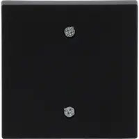 Busch-Jaeger centraalplaat voor trekschakelaar 2610/6U Future Linear zwart mat (1796-885)
