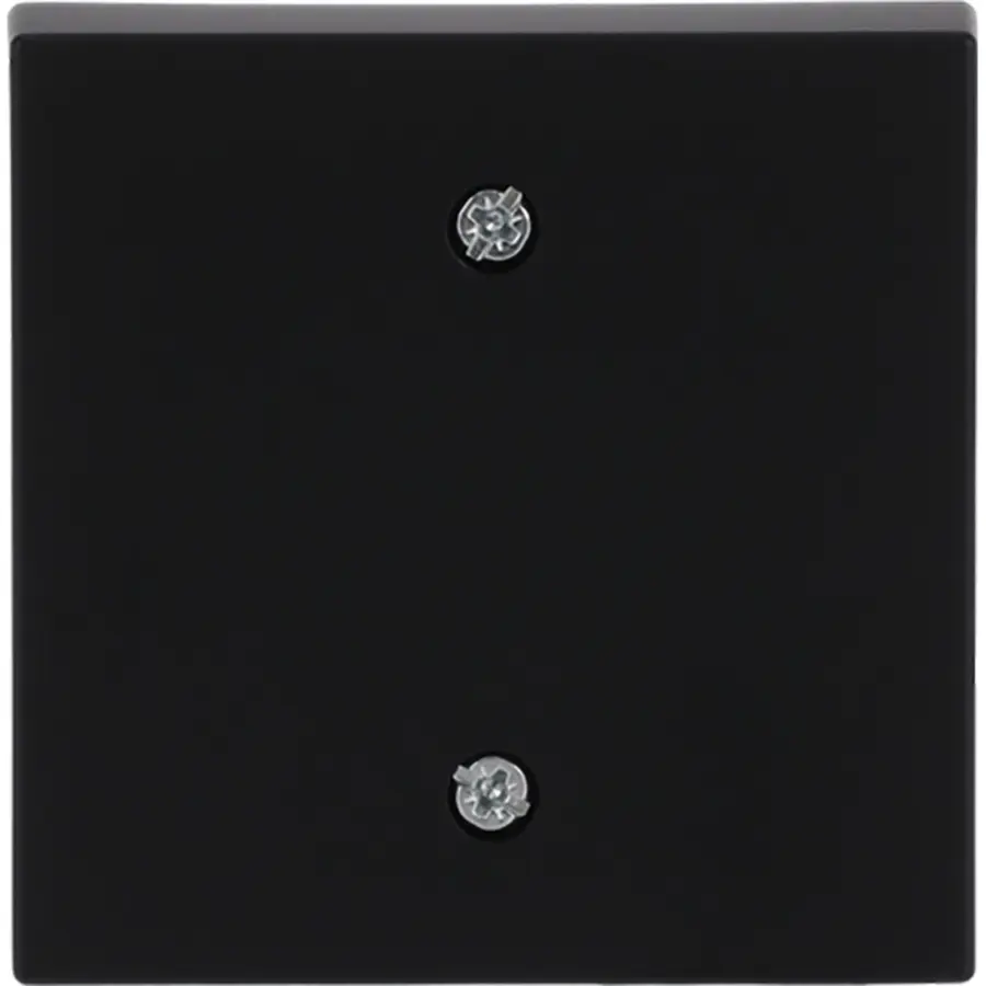 Busch-Jaeger centraalplaat voor trekschakelaar 2610/6U Future Linear zwart mat (1796-885)