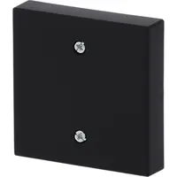 Busch-Jaeger centraalplaat voor trekschakelaar 2610/6U Future Linear zwart mat (1796-885)