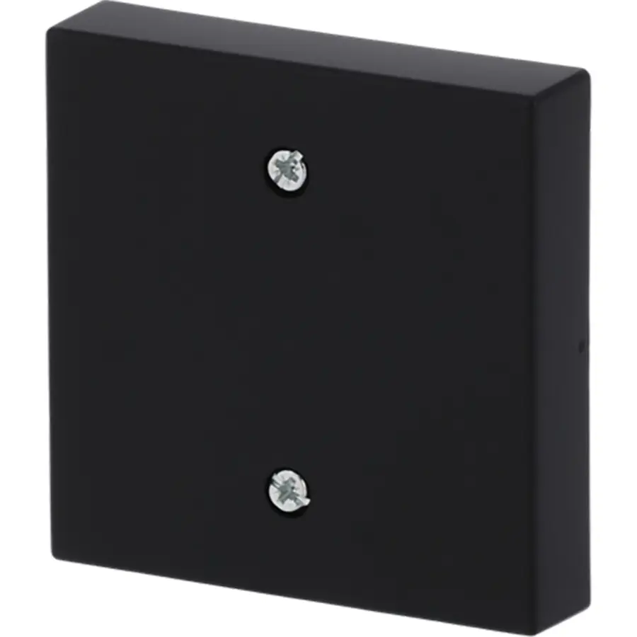 Busch-Jaeger centraalplaat voor trekschakelaar 2610/6U Future Linear zwart mat (1796-885)