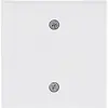Busch-Jaeger centraalplaat voor trekschakelaar 2610/6U Future Linear studiowit mat (1796-884)