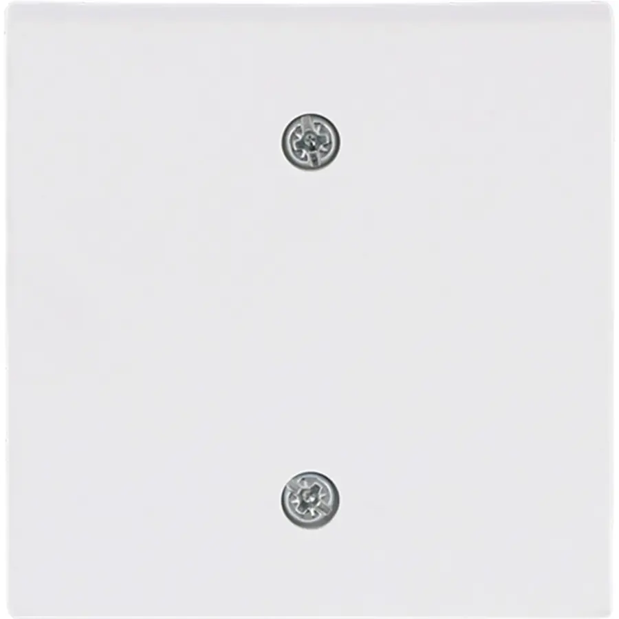 Busch-Jaeger centraalplaat voor trekschakelaar 2610/6U Future Linear studiowit mat (1796-884)