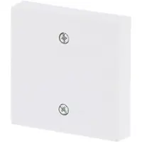 Busch-Jaeger centraalplaat voor trekschakelaar 2610/6U Future Linear studiowit mat (1796-884)