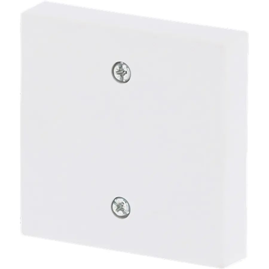 Busch-Jaeger centraalplaat voor trekschakelaar 2610/6U Future Linear studiowit mat (1796-884)