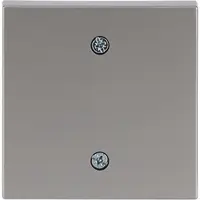Busch-Jaeger centraalplaat voor trekschakelaar 2610/6U Pure Stainless Steel (1796-866)