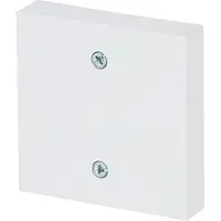 Busch-Jaeger centraalplaat voor trekschakelaar 2610/6U Future Linear studiowit glans (1796-84)