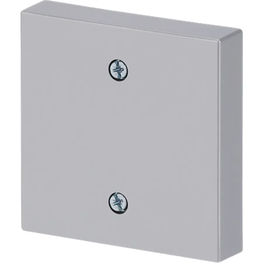 Busch-Jaeger centraalplaat voor trekschakelaar 2610/6U Future Linear aluzilver (1796-83)