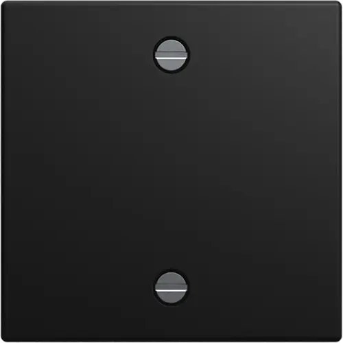 Busch-Jaeger centraalplaat voor trekschakelaar 2610/6U Balance SI zwart mat (1796-915)