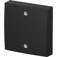 Busch-Jaeger centraalplaat voor trekschakelaar 2610/6U Balance SI zwart mat (1796-915)