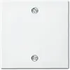 Busch-Jaeger centraalplaat voor trekschakelaar 2610/6U Balance SI wit glans (1796-914) Busch-Jaeger centraalplaat voor trekschakelaar 2610/6U Balance SI wit glans (1796-914)