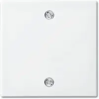Busch-Jaeger centraalplaat voor trekschakelaar 2610/6U Balance SI wit glans (1796-914)