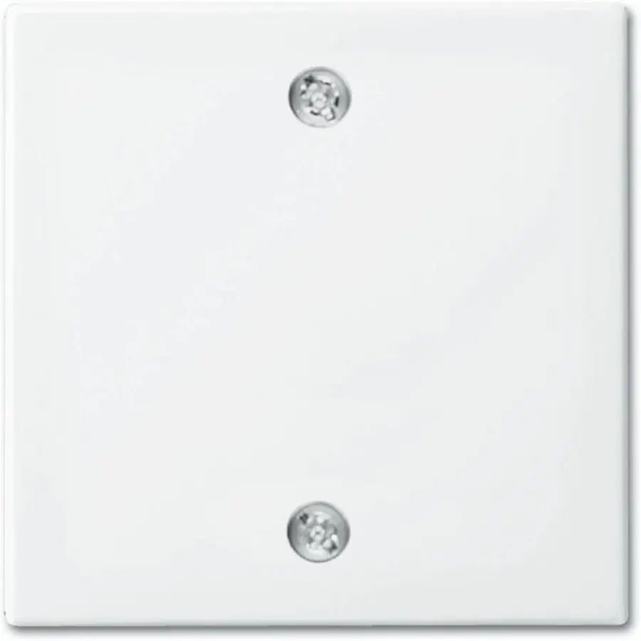 Busch-Jaeger centraalplaat voor trekschakelaar 2610/6U Balance SI wit glans (1796-914)